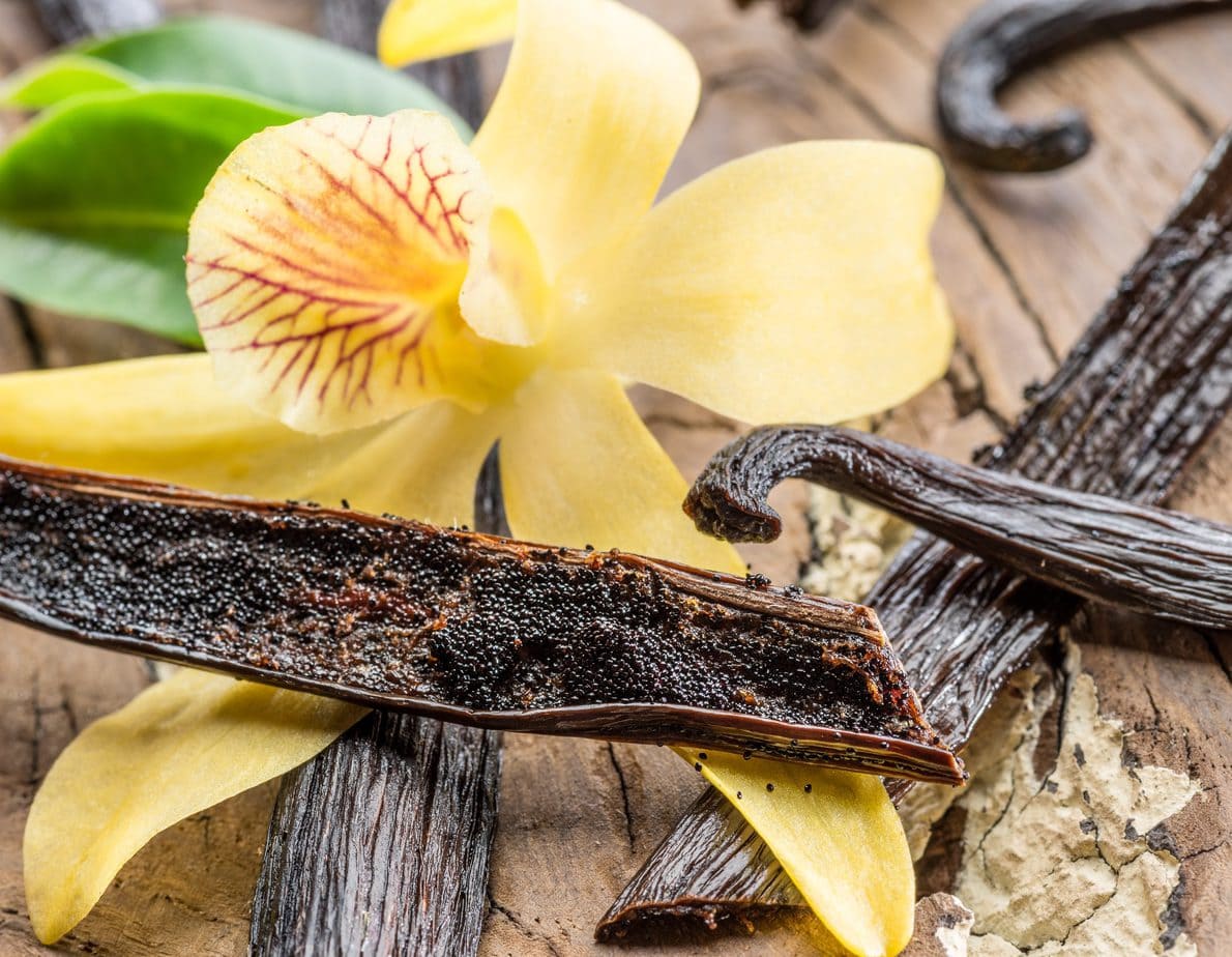 Vanilla oil – learn about its use in cosmetics!