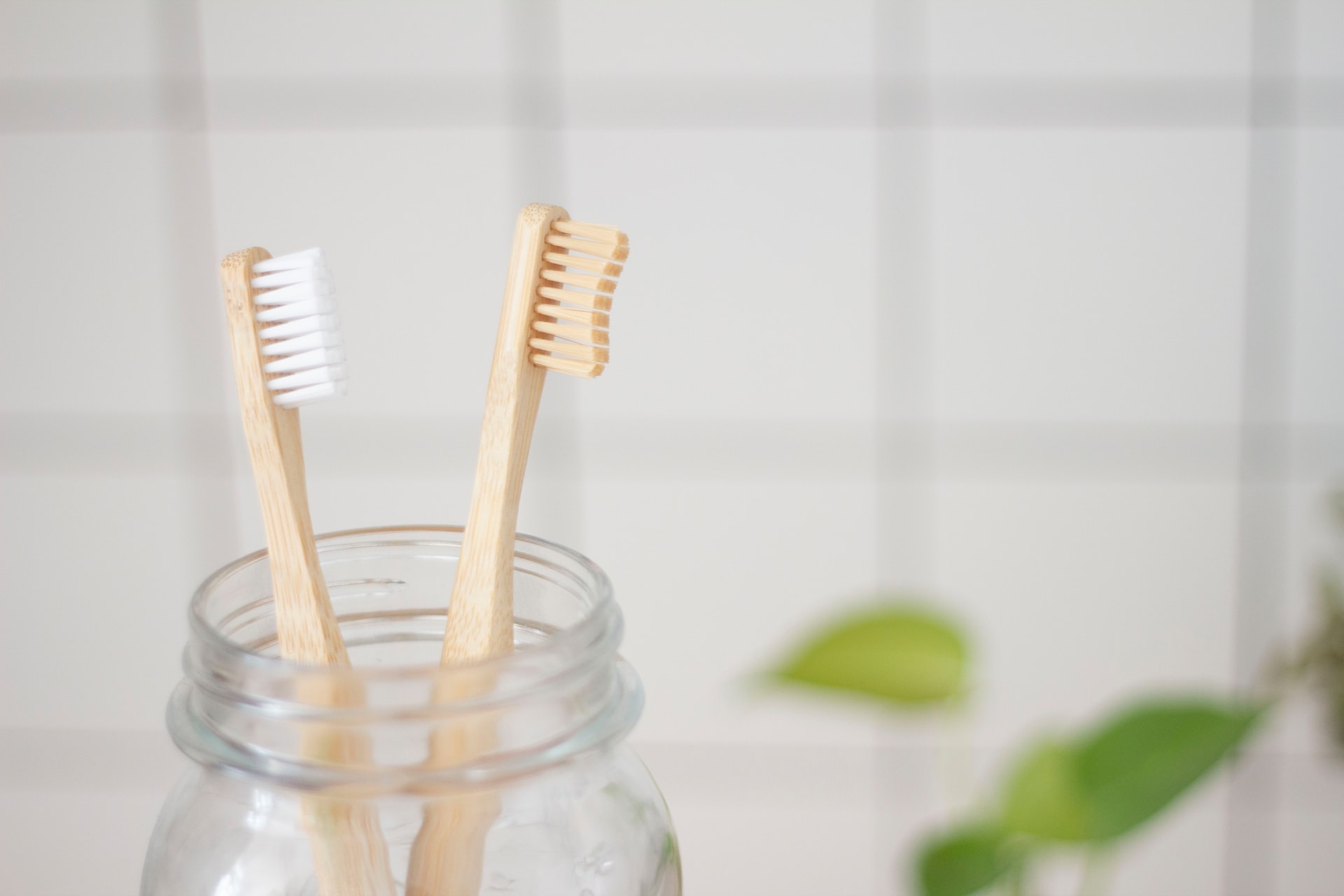 Eco-friendly toothbrushes – why use them?