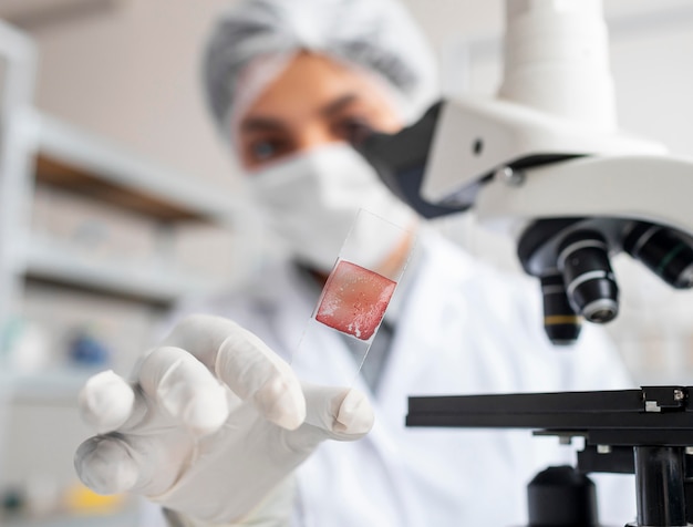 The Importance of Quality Antibodies in Scientific Research